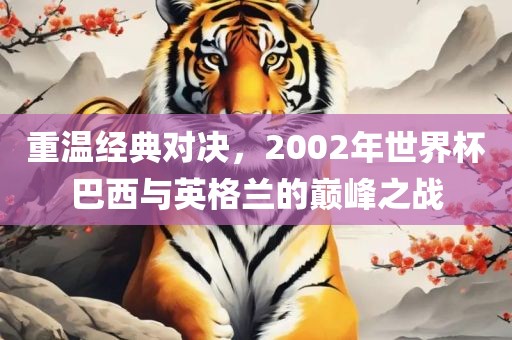 重温经典对决，2002年世界杯巴西与英格兰的巅峰之战