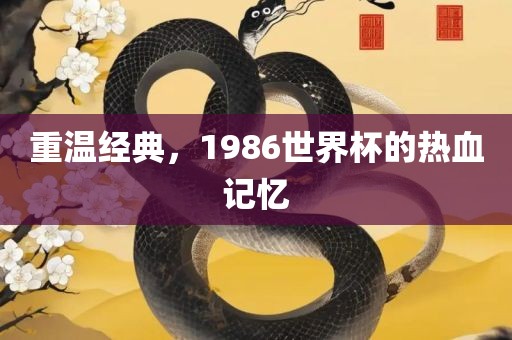 重温经典，1986世界杯的热血记忆