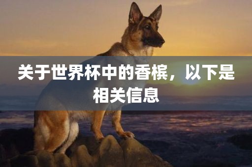 关于世界杯中的香槟，以下是相关信息眉山市正发家政服务有限公司