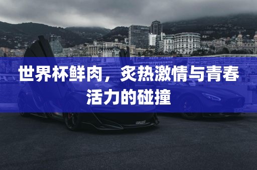 世界杯鲜肉，炙热激情眉山市正发家政服务有限公司与青春活力的碰撞