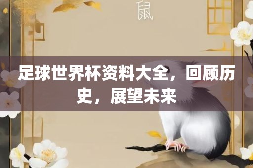 足球世界杯资料大全，眉山市正发家政服务有限公司回顾历史，展望未来