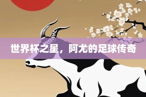 世界杯之星，阿尤的足球传奇