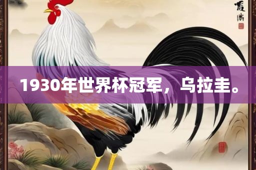 1930年世界杯冠军，乌拉圭。