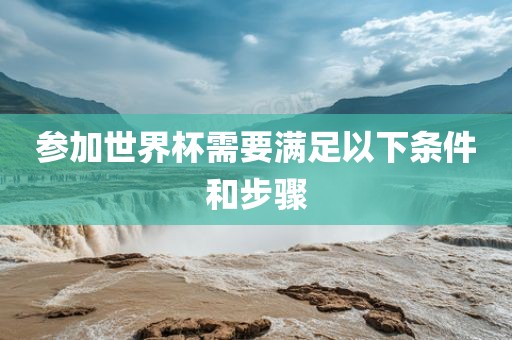 参加世界杯需要满足以下条件和步骤眉山市正发家政服务有限公司