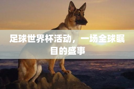 足球世界杯活动，一场全球瞩目的盛事