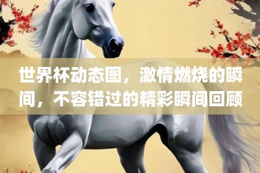 世界杯动态图，激情燃烧的瞬间，不容错过的精彩瞬间回顾眉山市正发家政服务有限公司