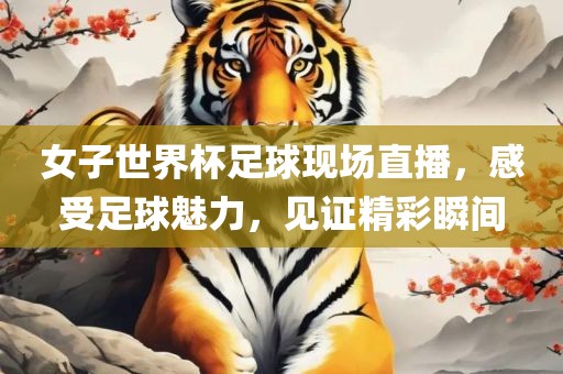 女子世界杯足球现场直播，感受足球魅力，见证精彩瞬间眉山市正发家政服务有限公司
