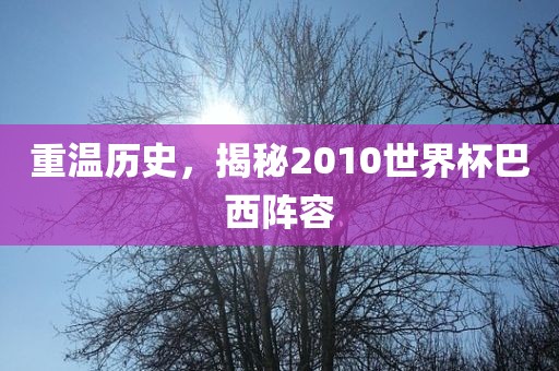 重温历史，揭秘2010世界杯巴西阵容