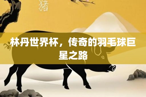 林丹世界杯，传奇的羽毛球巨星之路眉山市正发家政服务有限公司