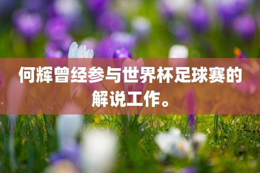 何辉曾经参与世界杯足球赛的解说工作。眉山市正发家政服务有限公司