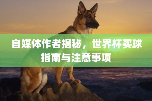 自媒体作者揭秘，世界杯买球指南与注意事项