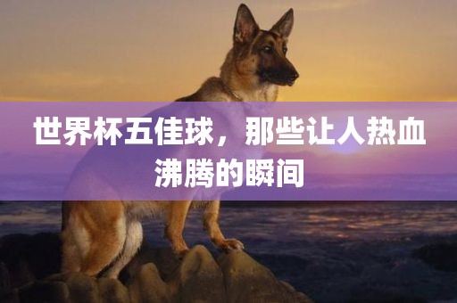 世界杯五佳球，那些让人热血沸腾的瞬间