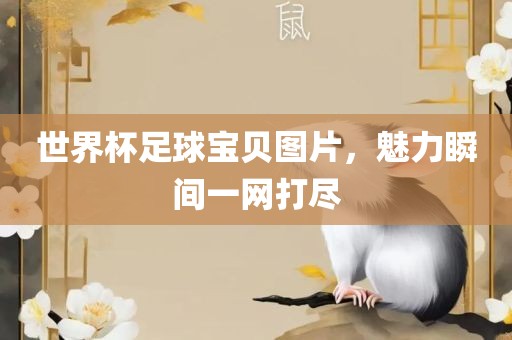 世界杯足球宝贝图片，魅力瞬间一网打尽