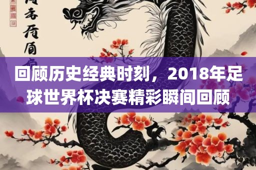 回顾历史经典时刻，2018年足球世界杯决赛精彩瞬间回顾眉山市正发家政服务有限公司