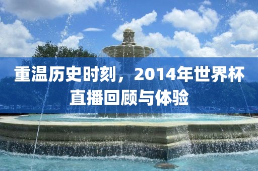 重温历史时刻，2014年世界杯直播回顾与体验眉山市正发家政服务有限公司