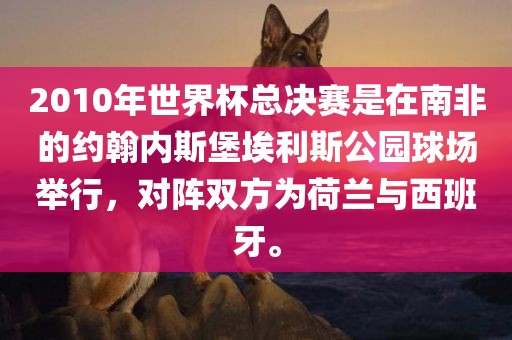 2010年世界杯总决赛是在南非的约翰内斯堡埃利斯公园球场举行，对阵双方为荷兰与西班牙。