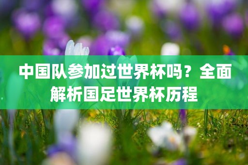 中国队参加过世界杯吗？全面解析国足世界杯历程眉山市正发家政服务有限公司