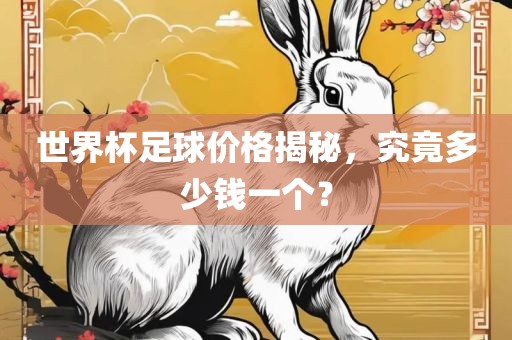 世界杯足球价格揭秘，究竟多少钱一个？