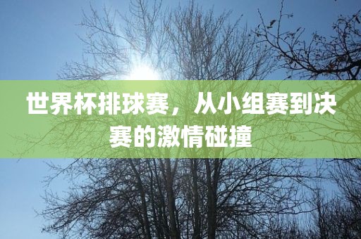 世界杯排球赛，从小组赛到决赛的激情碰撞