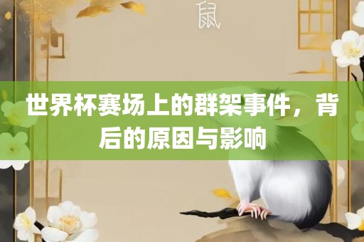 世界杯赛场上的群架事件，背后的原因与影响