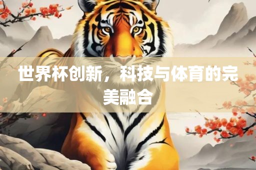 世界杯创新，科技与体育的完美融合眉山市正发家政服务有限公司
