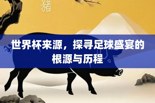 世界杯来源，探寻足球盛宴的根源与历程眉山市正发家政服务有限公司