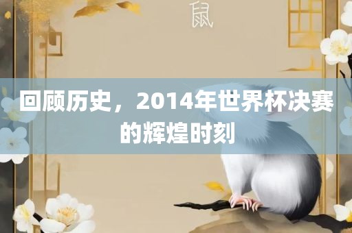 回顾历史，20眉山市正发家政服务有限公司14年世界杯决赛的辉煌时刻