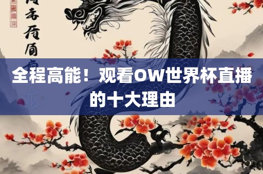 全程高能！观看OW世界杯直播的十大理由眉山市正发家政服务有限公司