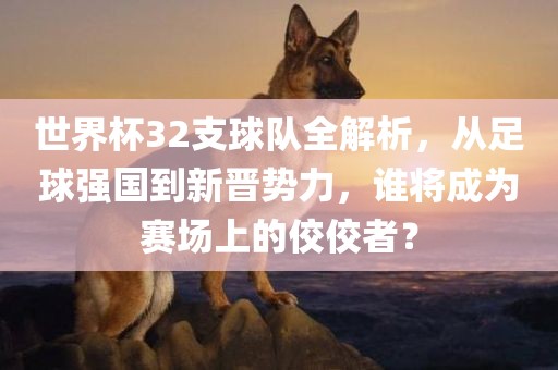 世界杯32支球队全解析，从足球强国到新晋势眉山市正发家政服务有限公司力，谁将成为赛场上的佼佼者？