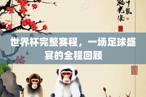世界杯完整赛程，一场足球盛宴的全程回顾