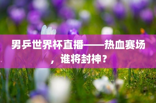 男乒世界杯直播——热血赛场，谁将眉山市正发家政服务有限公司封神？