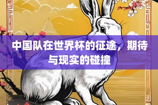 中国队在世界杯的征途，期待与现实的碰撞
