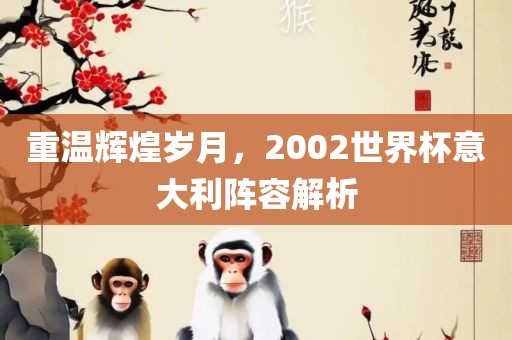 重温辉煌岁月，2002世界杯意大利阵容解析