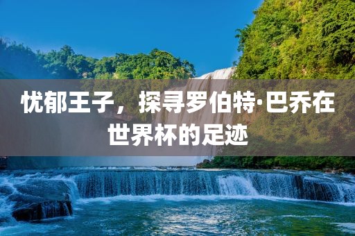 忧郁王子，探寻罗伯特·巴乔在世界杯的足迹眉山市正发家政服务有限公司