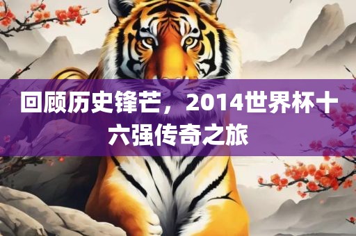 回顾历史锋芒，2014世界杯十六强传奇之旅眉山市正发家政服务有限公司