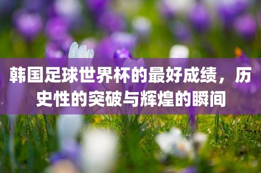 韩国足球世界杯的最好成绩，历史性的突破与辉煌的瞬间
