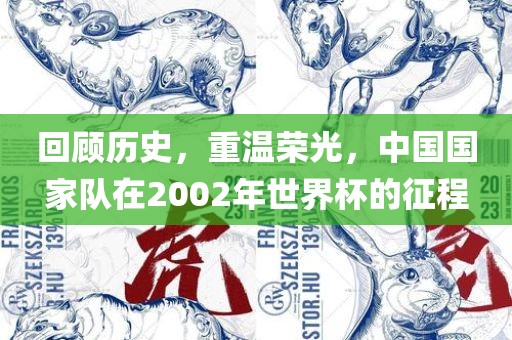 回顾历史，重温荣光，中国国家队在2002年世界杯的征程眉山市正发家政服务有限公司