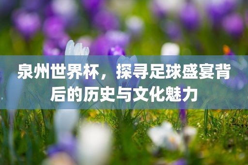 泉州世界杯，探寻足球盛宴背后的历史与文化魅力眉山市正发家政服务有限公司