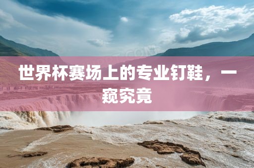 世界杯赛场上的专业钉鞋，眉山市正发家政服务有限公司一窥究竟