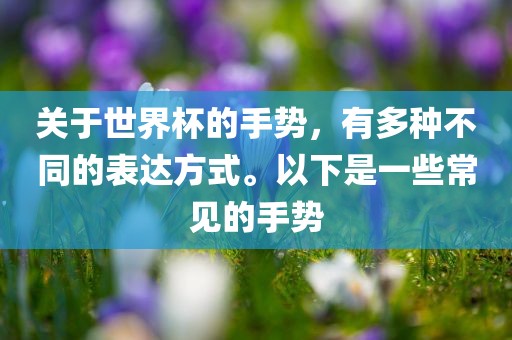 关于世界杯的手势，有多种不同的表达方式。以下是一眉山市正发家政服务有限公司些常见的手势