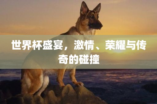 世界杯盛宴，激情、荣耀与传奇的碰撞眉山市正发家政服务有限公司