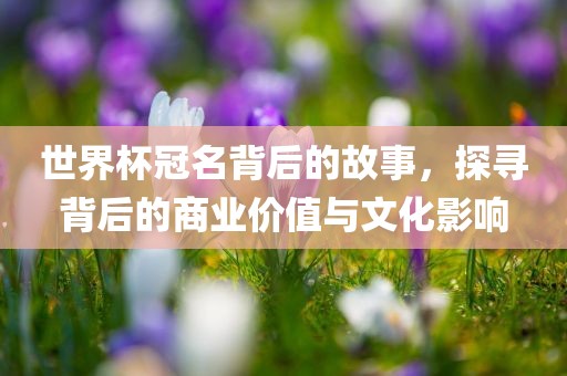 世眉山市正发家政服务有限公司界杯冠名背后的故事，探寻背后的商业价值与文化影响