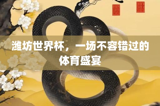 潍坊世界杯，一场不容错过的体育盛宴