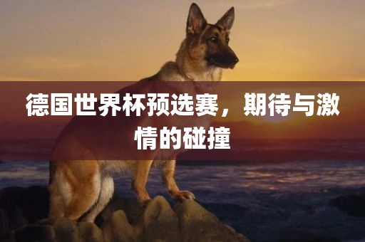 德国世界杯预选赛，期待与激情的碰撞