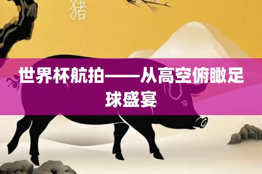世界杯航拍——从高空俯瞰足球盛宴眉山市正发家政服务有限公司
