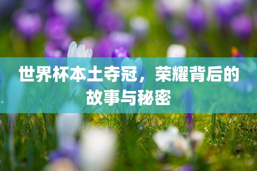 世界杯本土夺冠眉山市正发家政服务有限公司，荣耀背后的故事与秘密