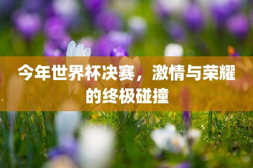 今年世界杯决赛，激情与荣耀眉山市正发家政服务有限公司的终极碰撞