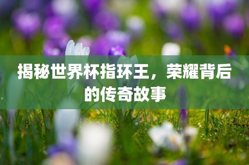 揭秘世界杯指环王，荣耀背后的传奇故事