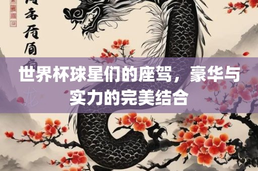 世界杯球星们的座驾，豪华与实力的完美结合