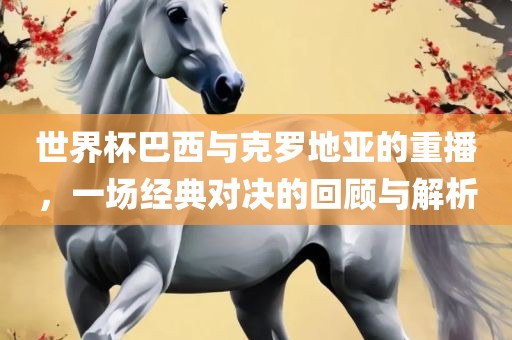 世界杯巴西与克罗地亚的重播，一场经典对决的回顾与解析眉山市正发家政服务有限公司